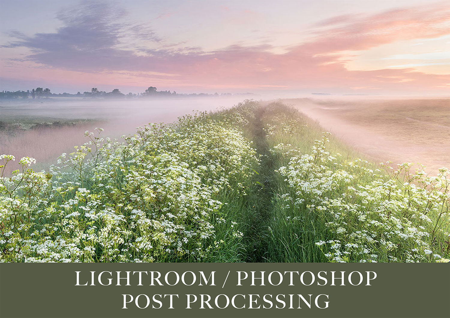 learn-lightroomhalf-day-post-processing-workshop-gill-moon-photography